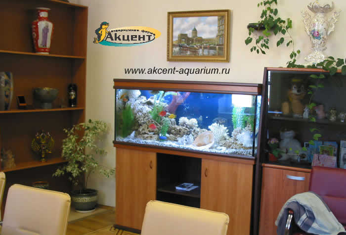 Акцент-аквариум,аквариум 450 литров прямоугольный
